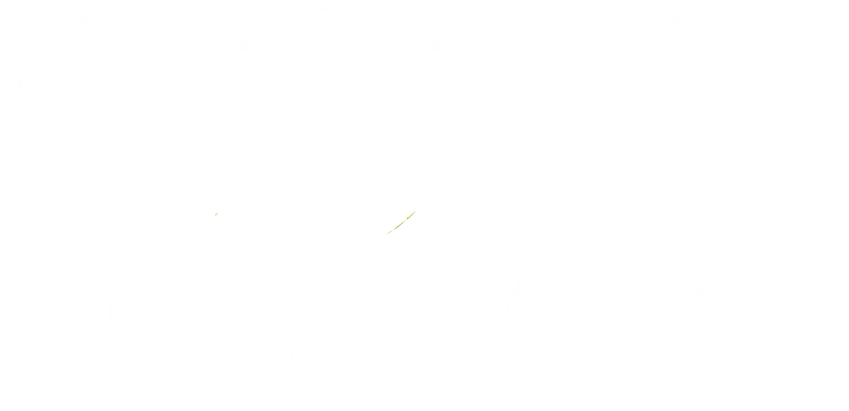 Logo DiviSAAS